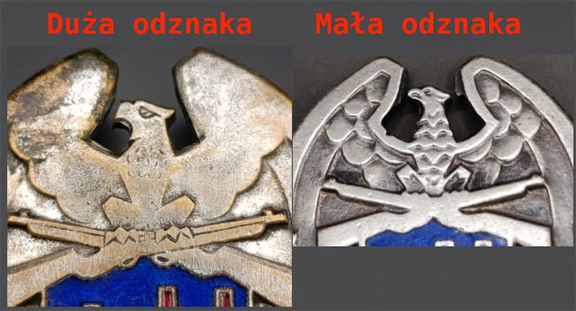 Porównanie orłów dla wersji małej i dużej