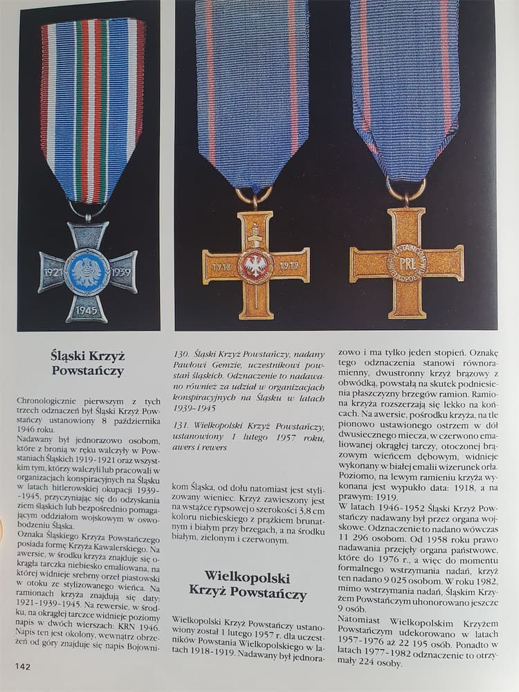 Przykładowe zdjęcie z rozdziału - Śląski i Wielkopolski Krzyż Powstańczy