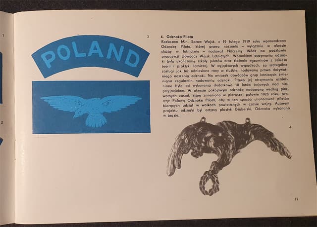 Przykładowe zdjęcie z rozdziału - Odznaka Pilota